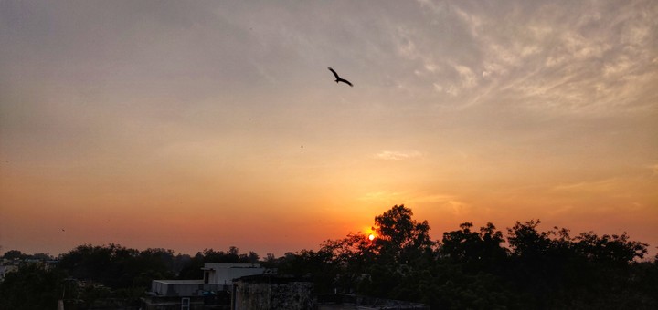 Flying Free