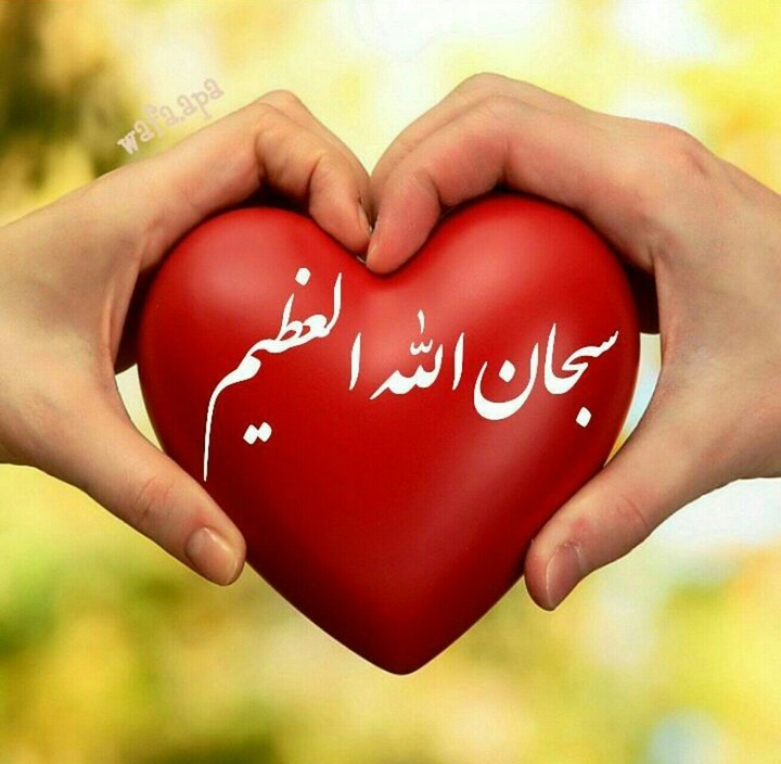 ALLAH♥