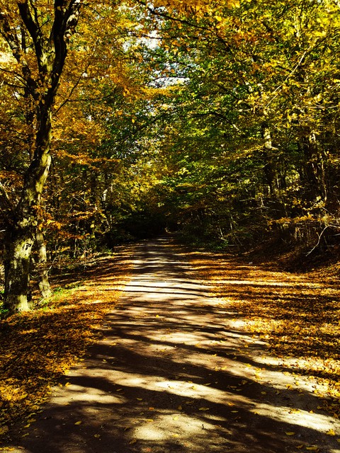 Road