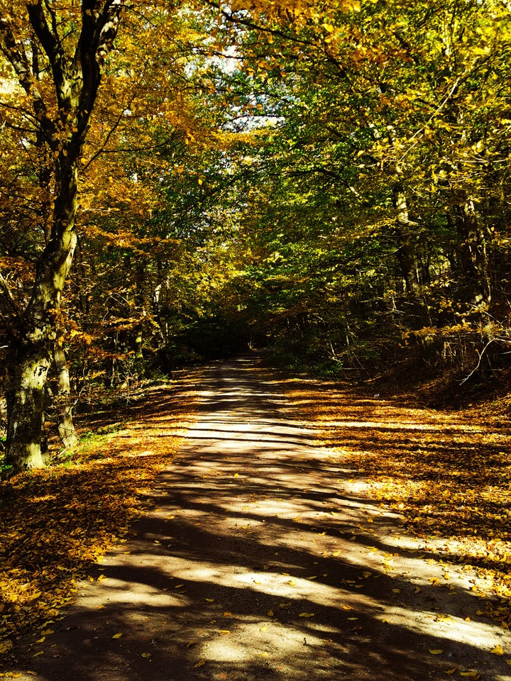 Road