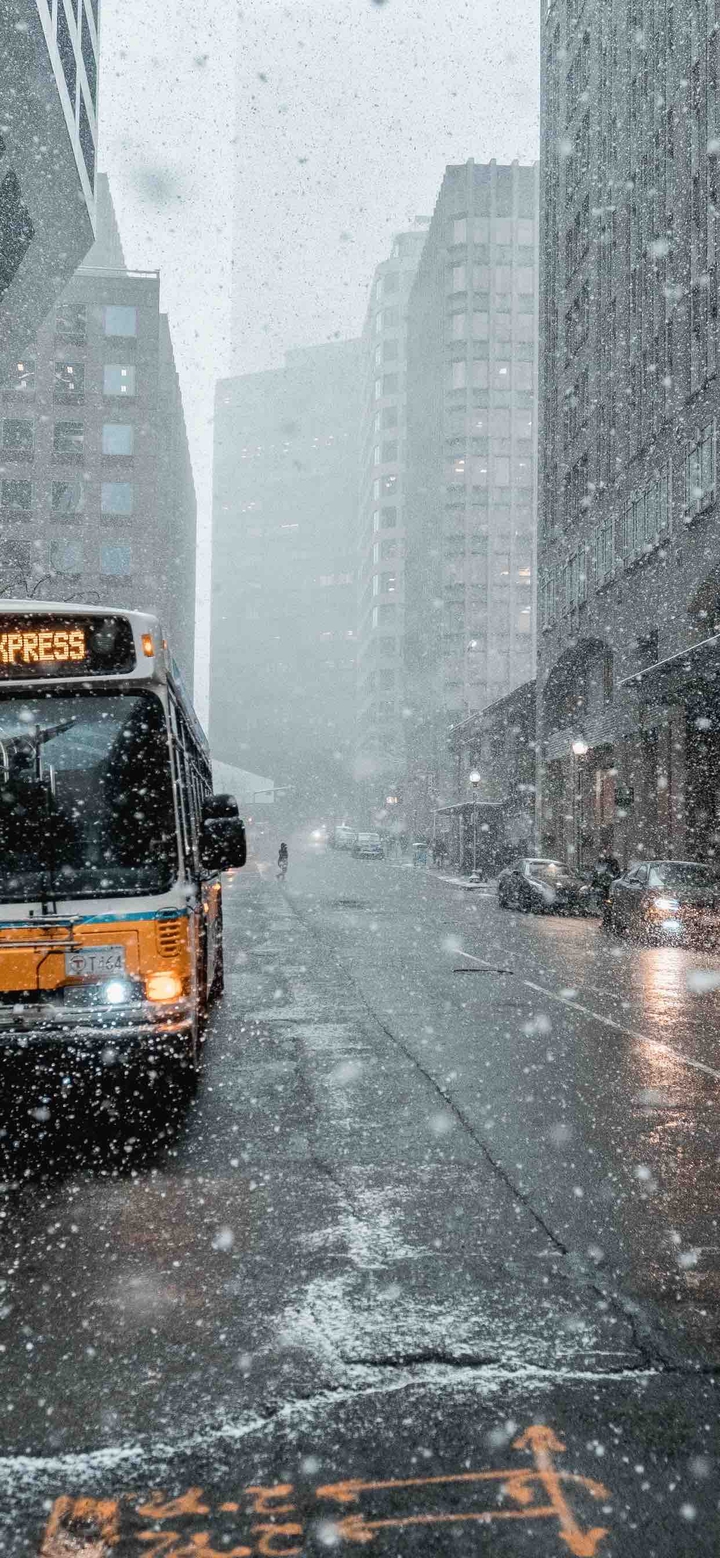 winter