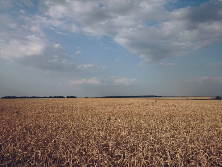 field