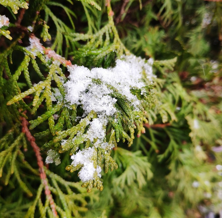 Snow