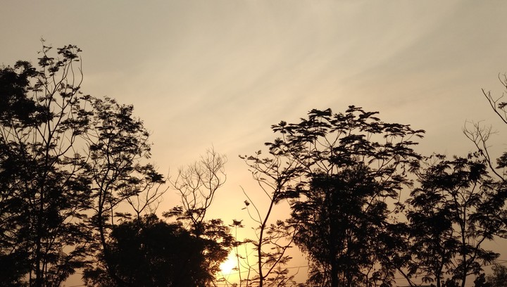 #sunset