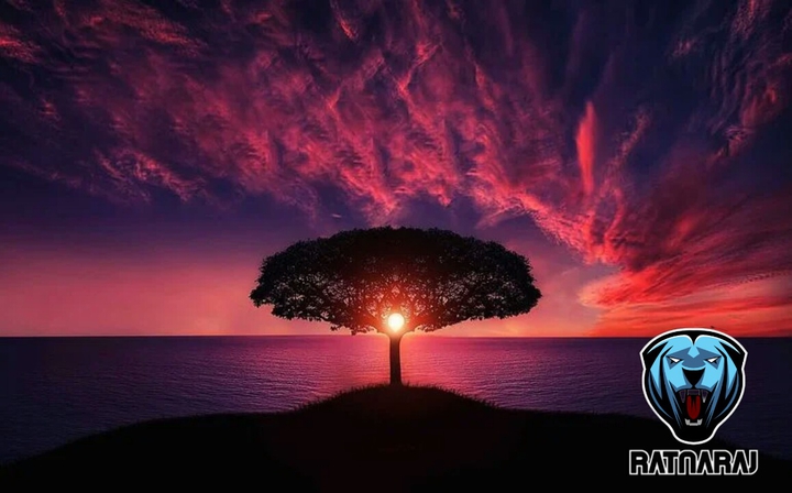 silhouette of tree near body of water