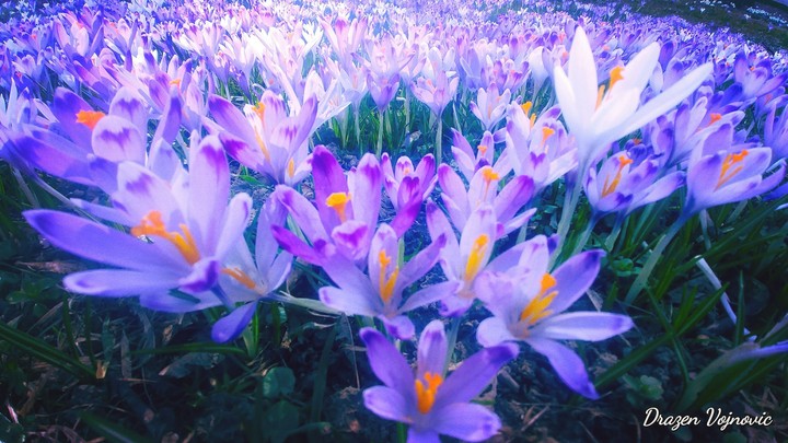 Beauty of nature.
