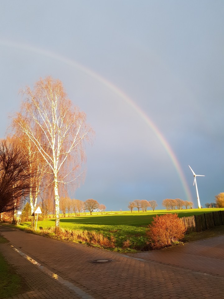 Rainbow