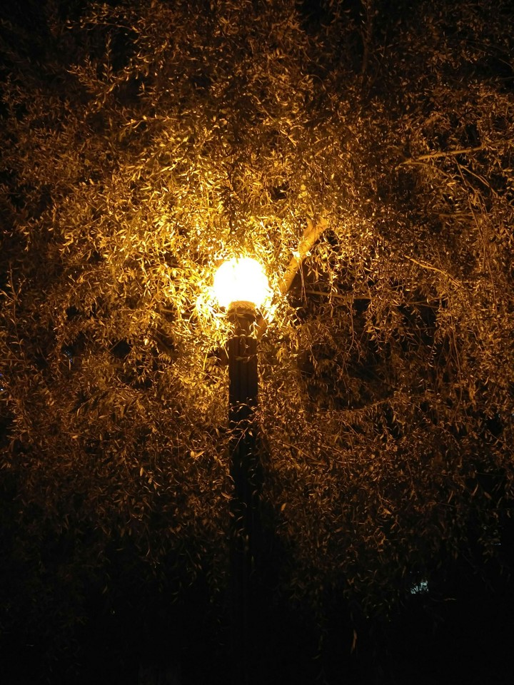lamp
