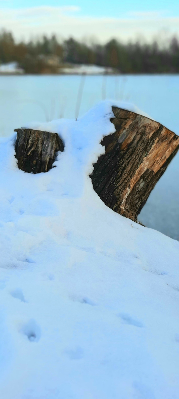 winter