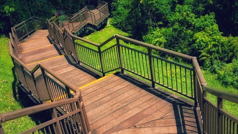 ταπετσαρίες forest, walkway