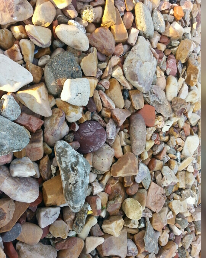 ■□■