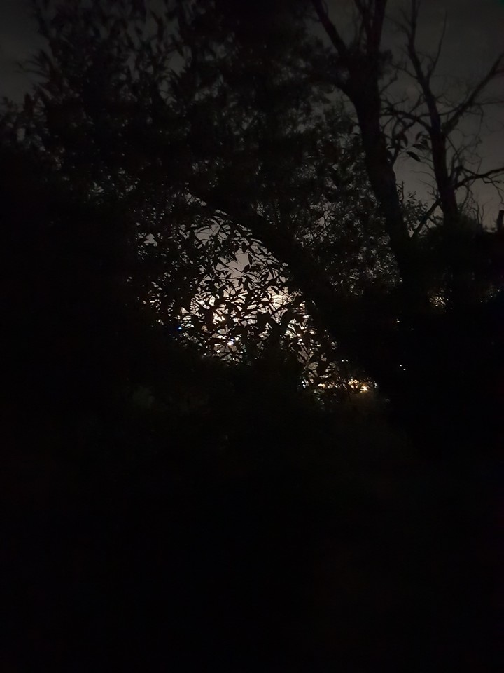 midnight in Tehran
