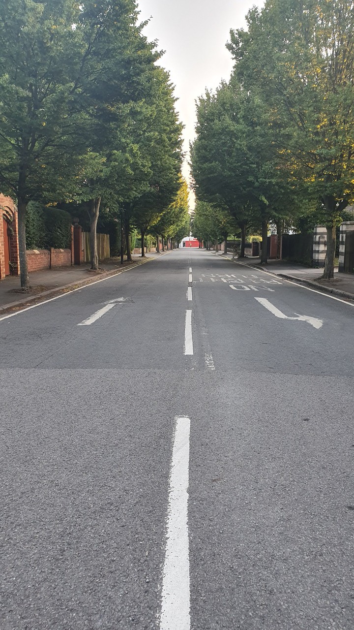 Early morning walk