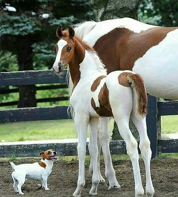 ❤