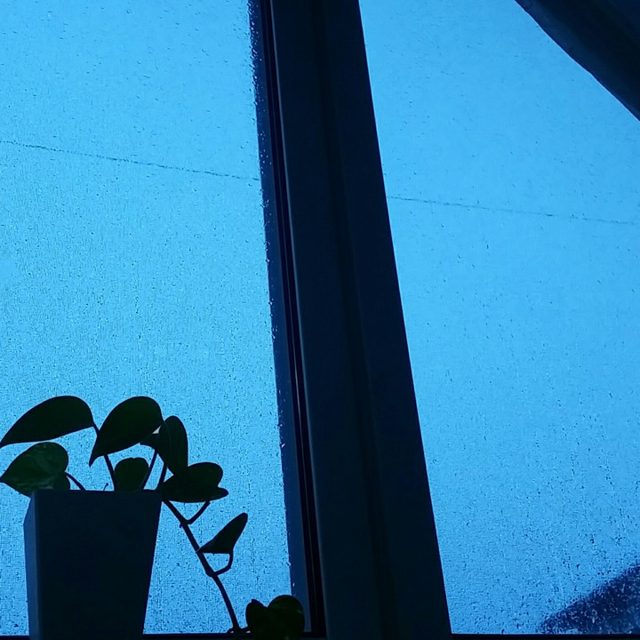 Rainy day