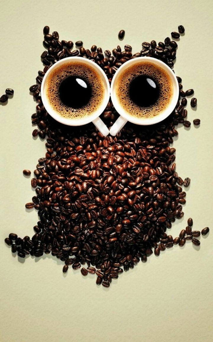 Coffe Beans Owl Art☕