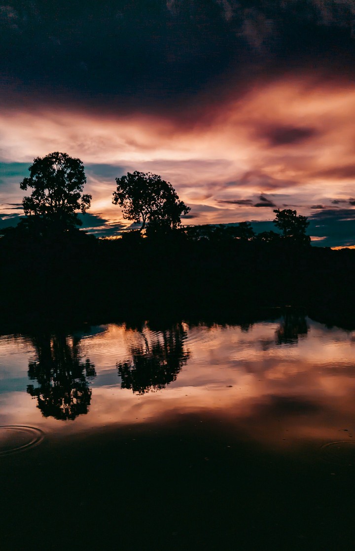 nature