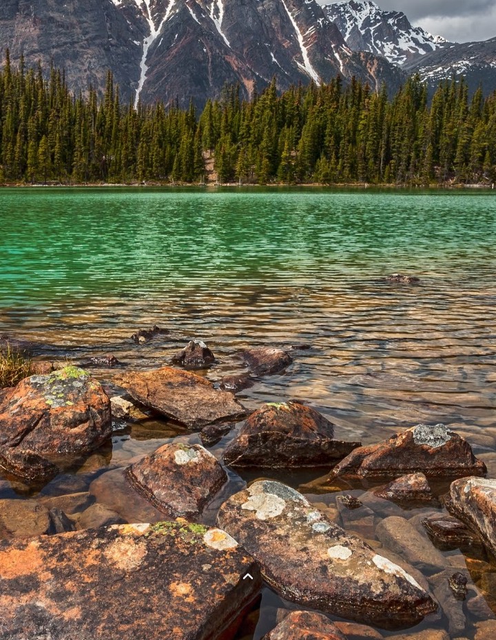 Paysage