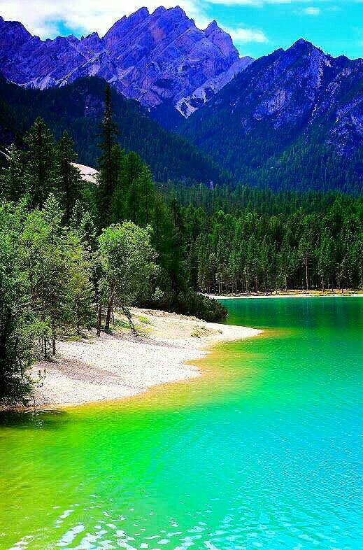 nature
