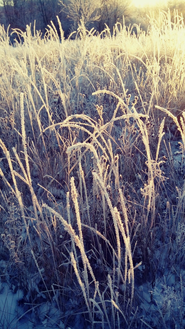 winter