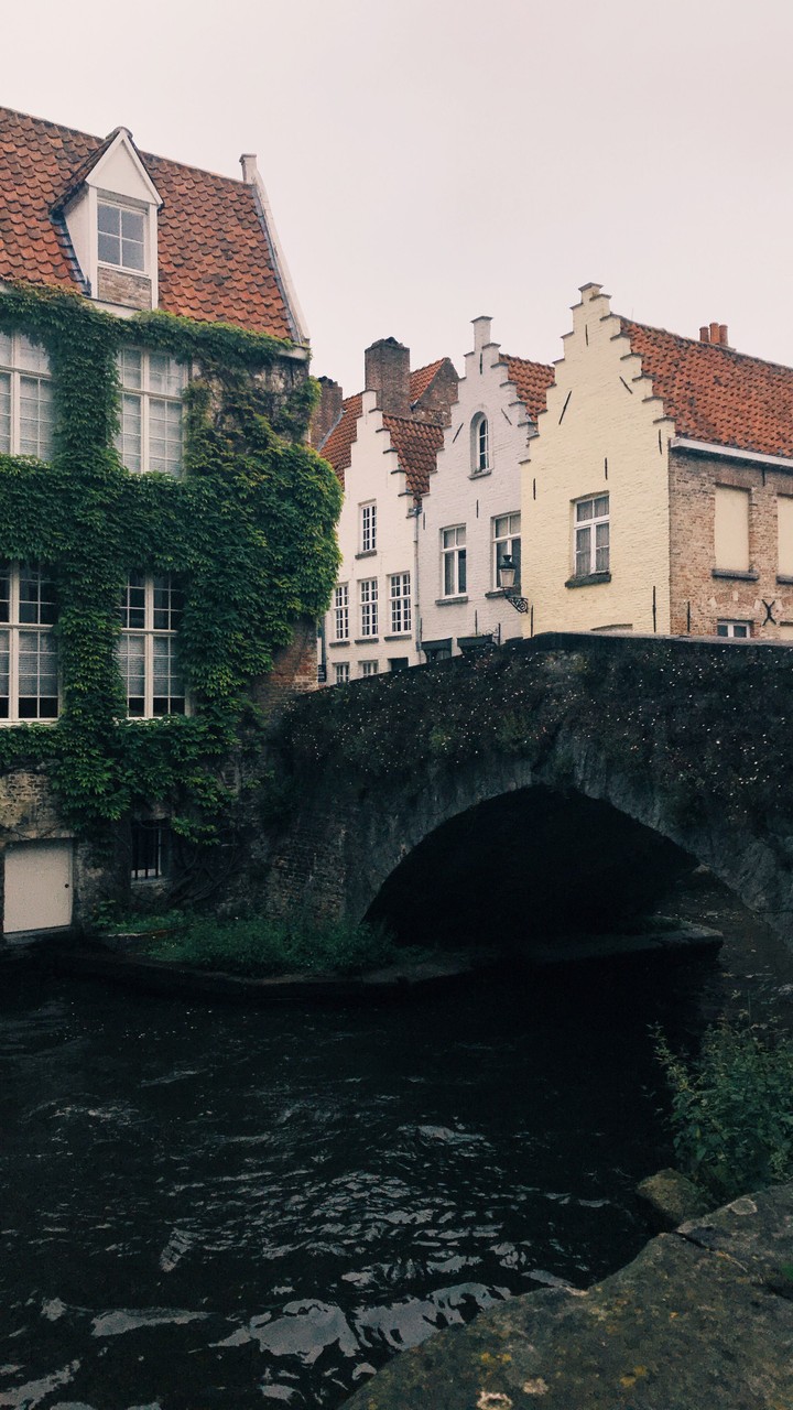 Pretty Neighborhood