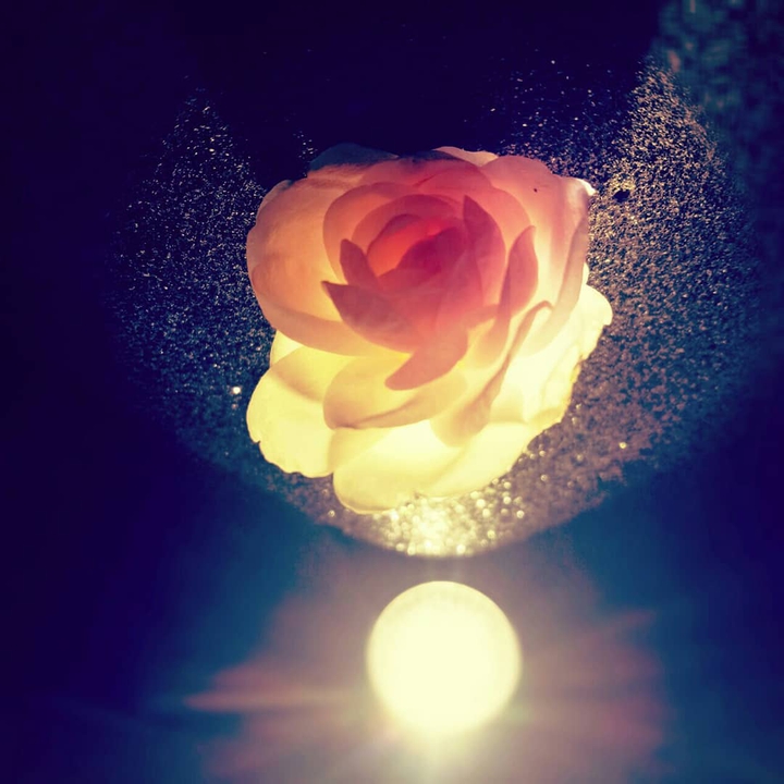 beauty