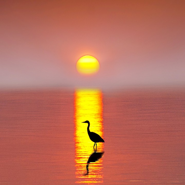 Sunset moment