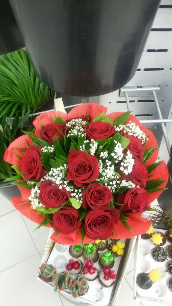 ROSES