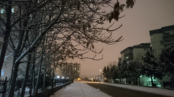 Winter