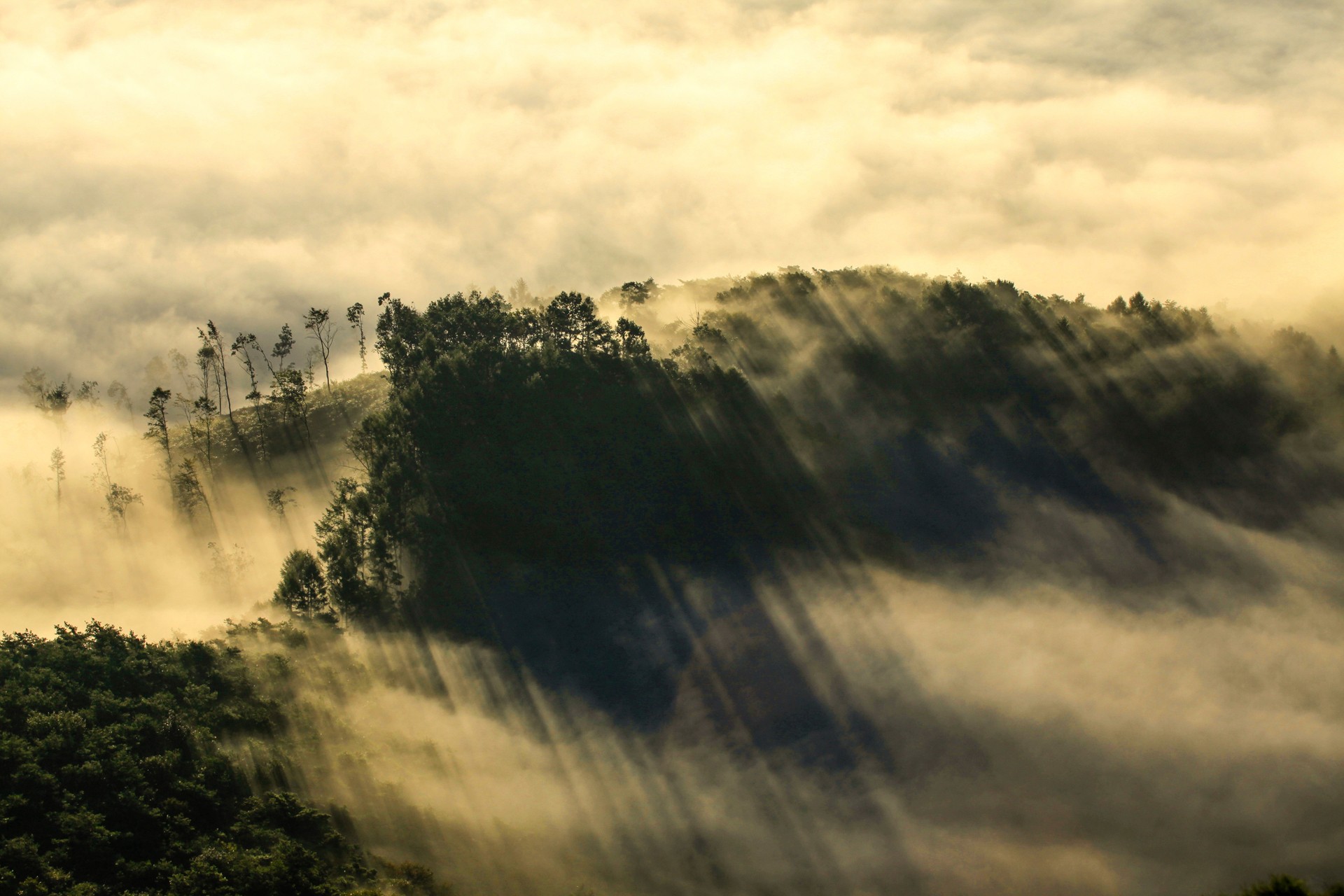 Hazy Mountain