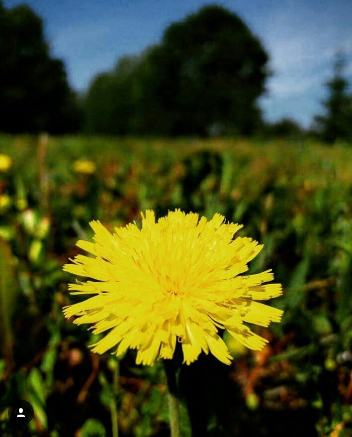 Natura