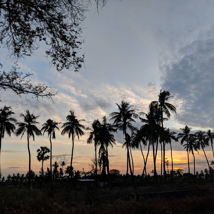 #aftersunset