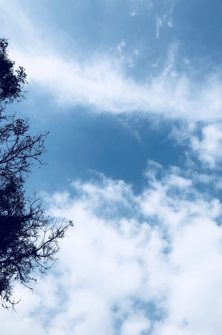 Supposed to be blue