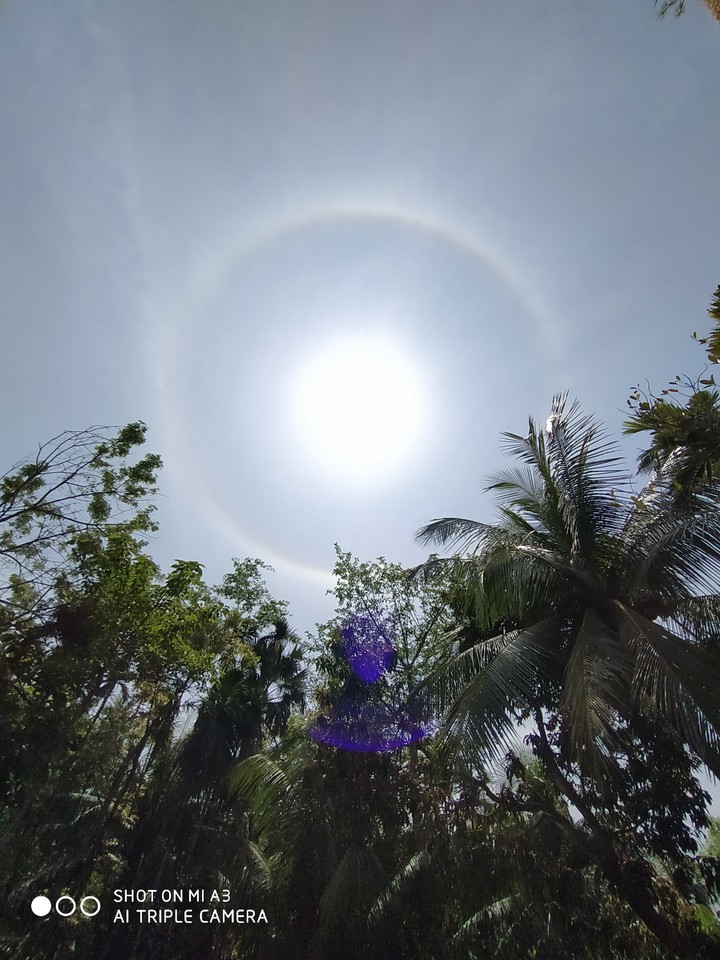 sun