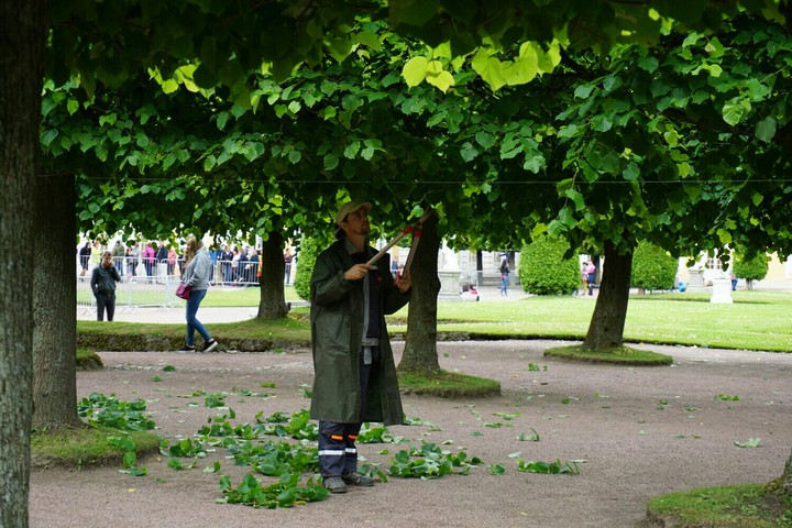 Садовник