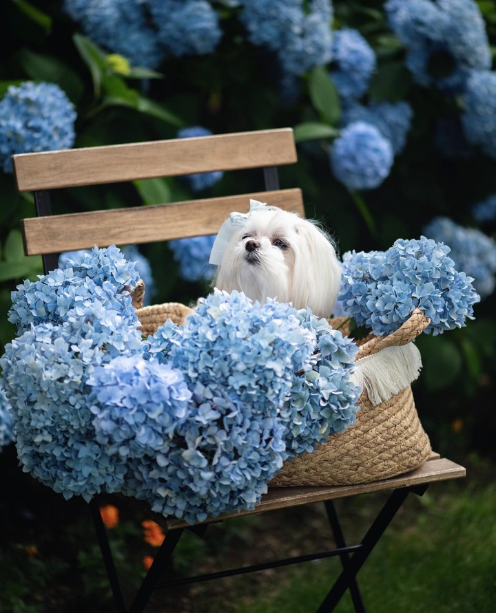 ~○｡°•♡♡♡•°｡○~
