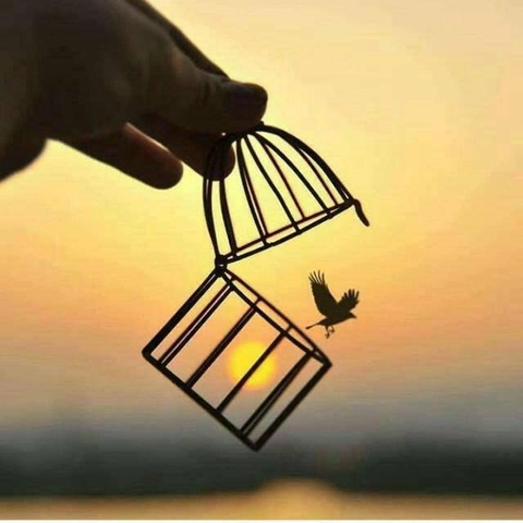 freedom......