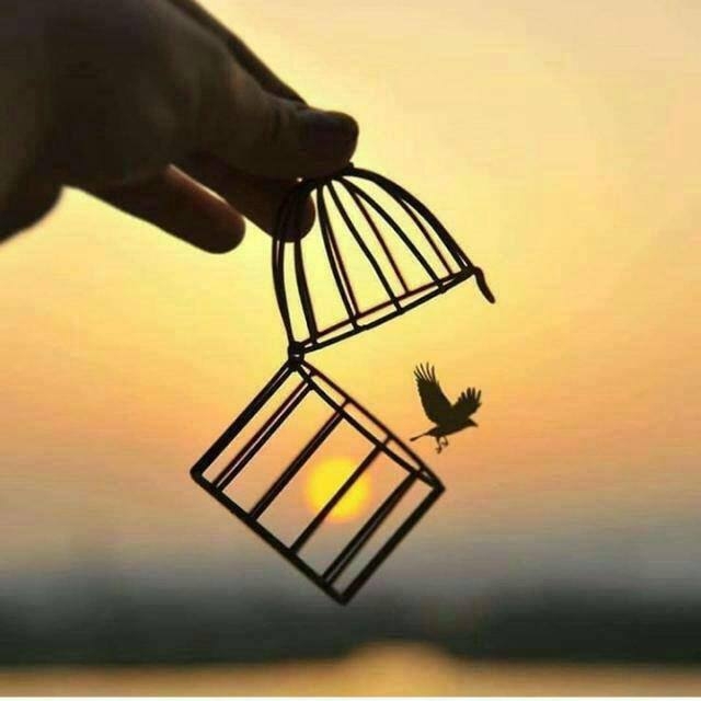 freedom......