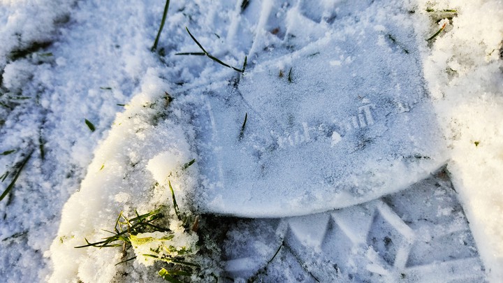 Timberland in snow