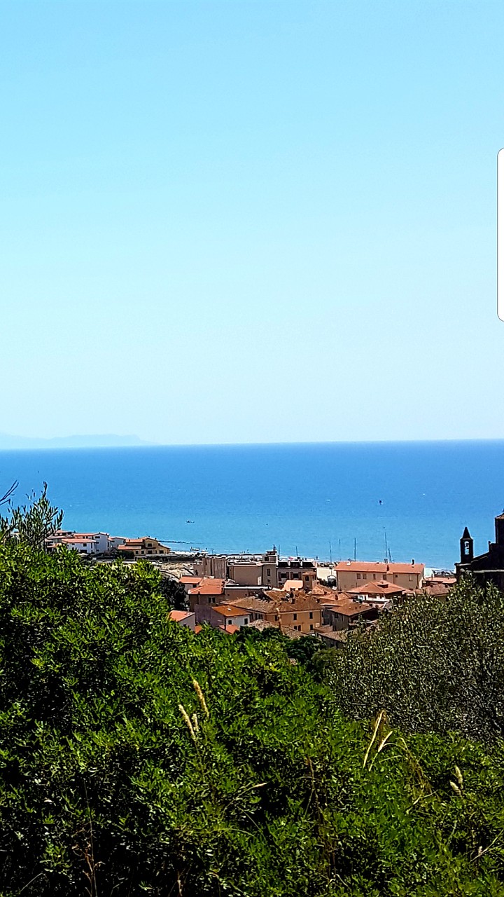 panorama