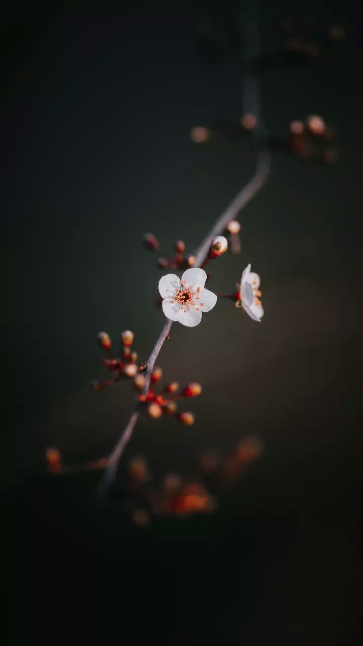 only for you