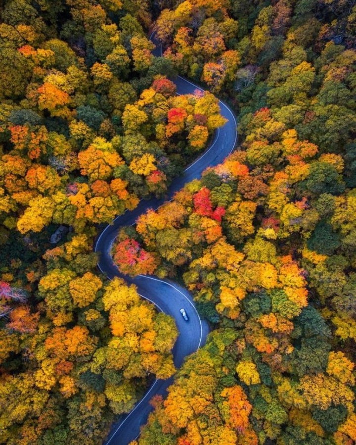 In the road of autumn's beauty