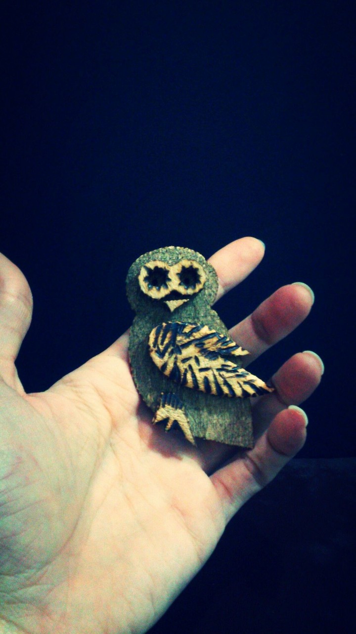 My handmade owls..