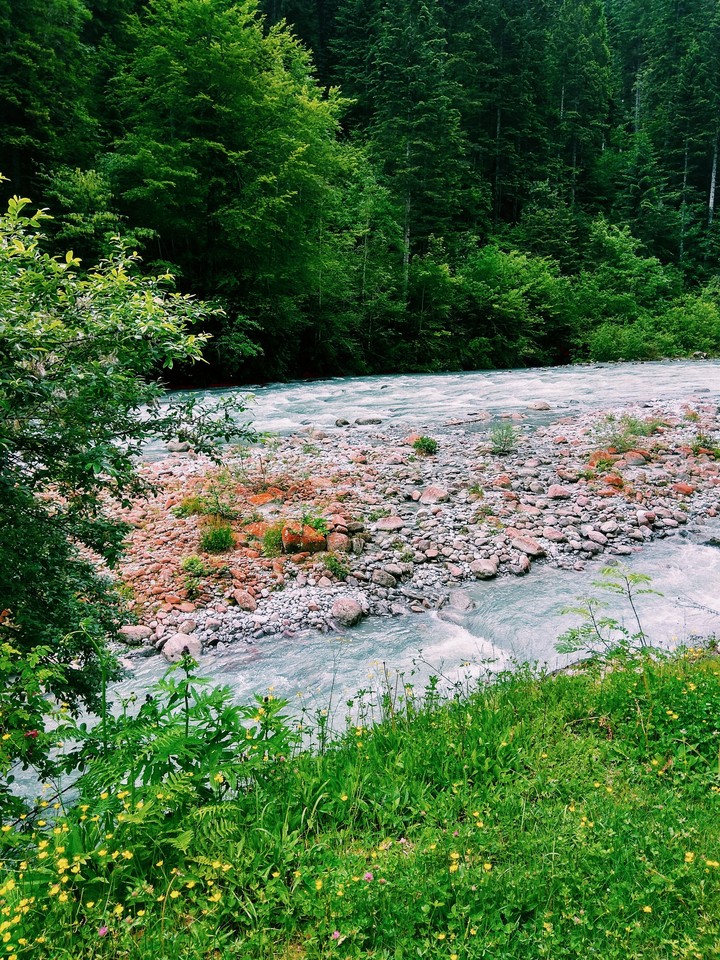 Италия Italy nature molto bene