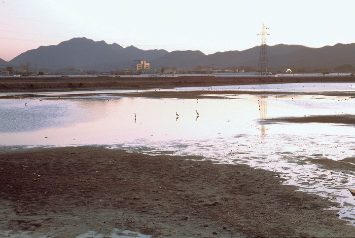 풍경이미지
