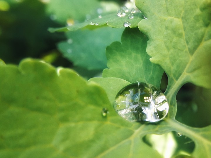 Drop