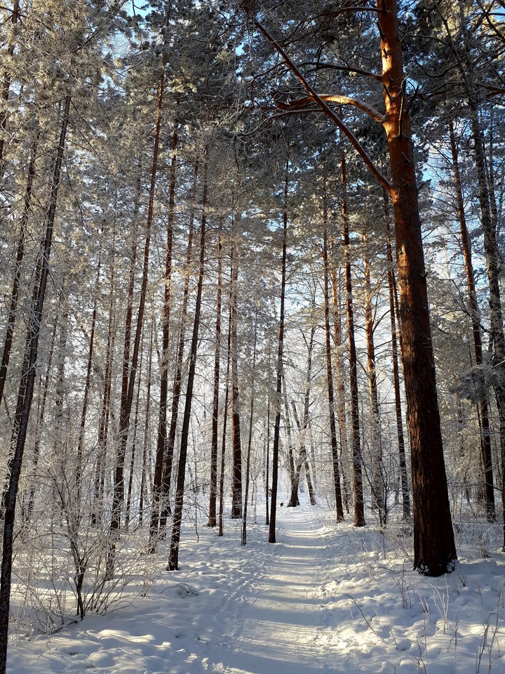 Зима 2018 (1)