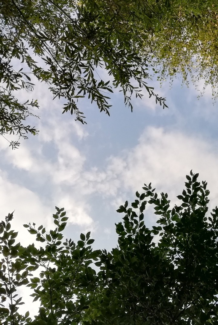 cloud