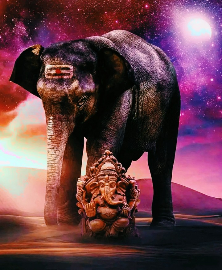 Jai ganesha  ?  ❤