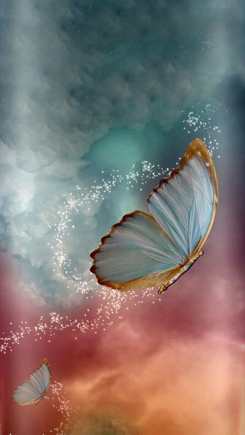 buttery fly